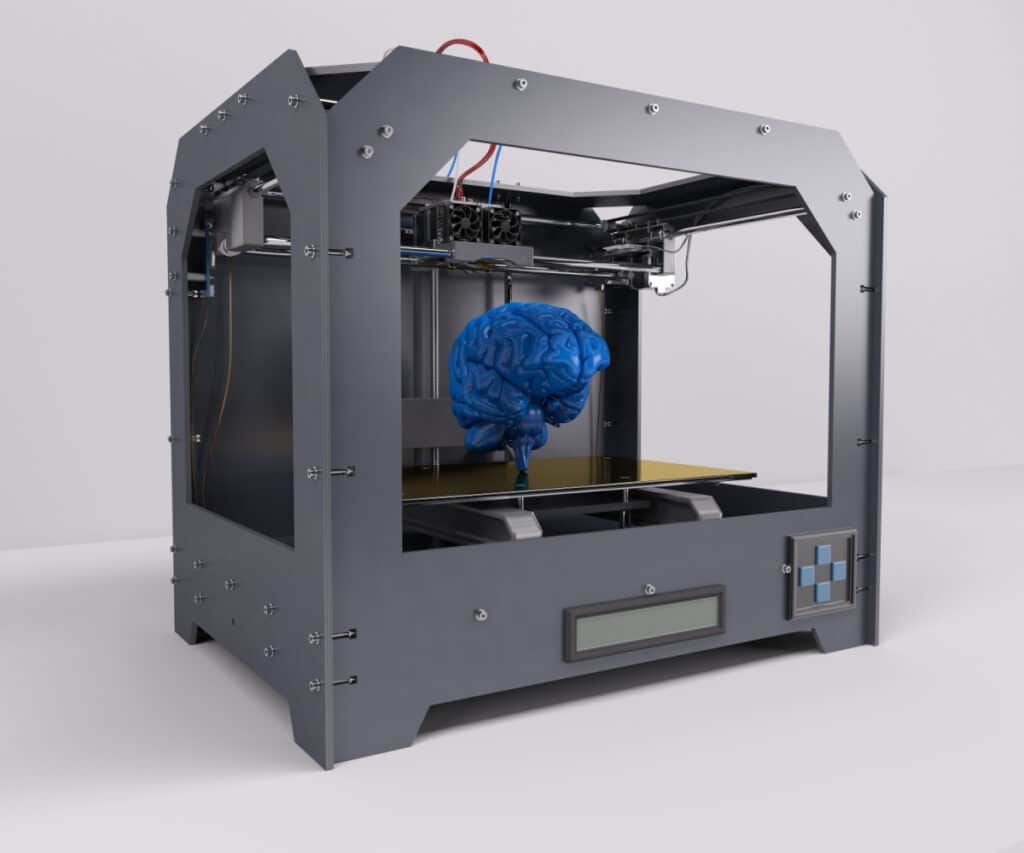 How To Print A Brain