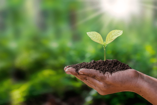 We Are Now ISO 14001:2015 Certified!